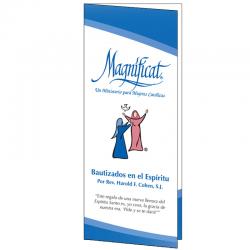 Baptized in the Spirit Brochure - Spanish (Pack of 100)